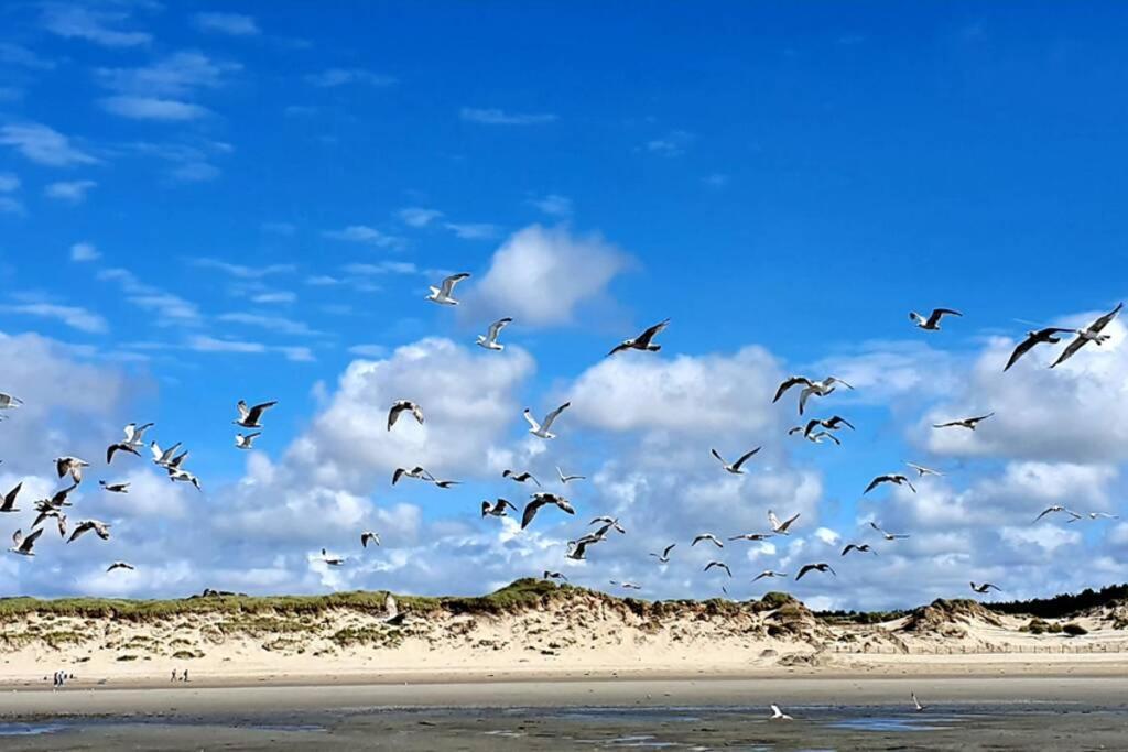 La Cabane Des Dunes A Fort-Mahon Plage Экстерьер фото